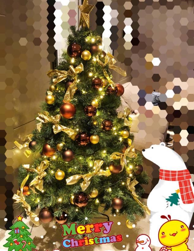 太注意隐私,晒圣诞树打满马赛克,网友:说杨幂私