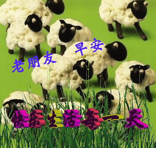 清晨早安问候动态表情图片,最美早上好祝福动态图