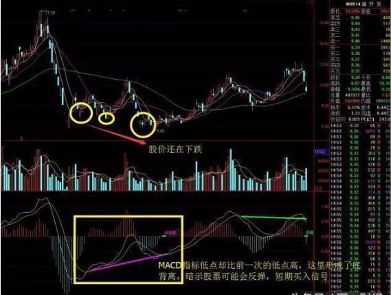 退休操盘手曝光“MACD”技巧，学会连庄家都害怕!散户纷纷点赞!