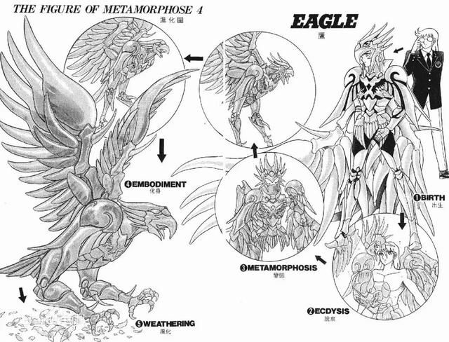 那一年折翼的《静故事翔》,到底讲了斗士漫画英雄安卓卡普2空vs图片