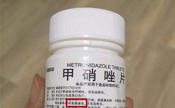 啤酒浇花，绿萝3天蹿上墙