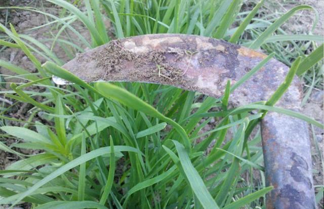 陷退市疑云!股价暴跌6.6元,股民:把小散整的死无葬身之地!