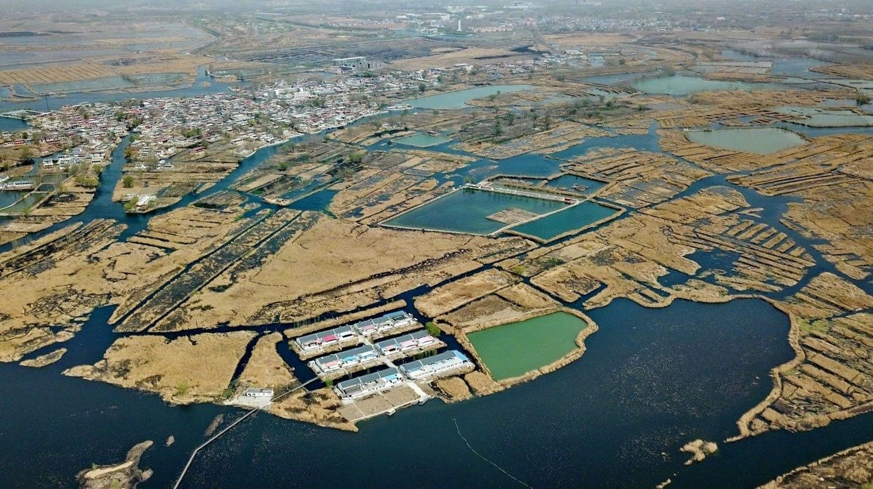 农村gdp_数据 中国经济仍在正常增长区间(3)