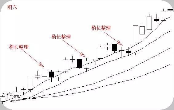 中国股市出现大逃亡现象，主力机构全部阵亡，谁在操纵中国股市？