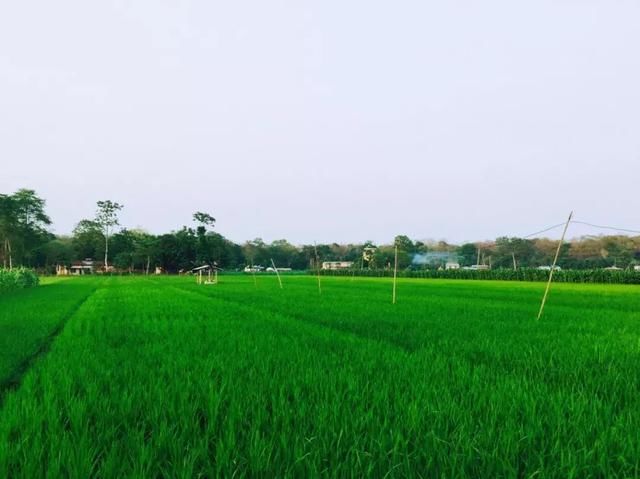 尼泊尔,还想再来一次的旅行地!不是你想象中的贫穷与落后……