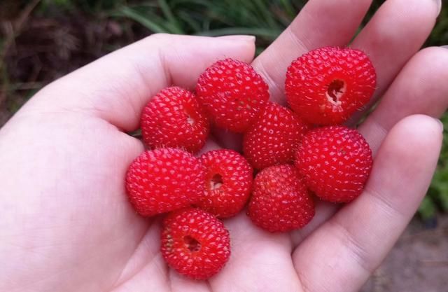航拍融水苗寨梯田,今朝培秀酒香茶浓人更美!