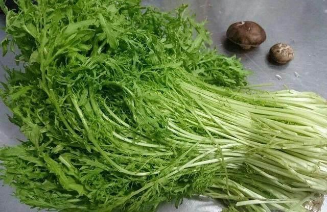 爸妈个子都不高,孩子却很高,原来是因为经常吃这些