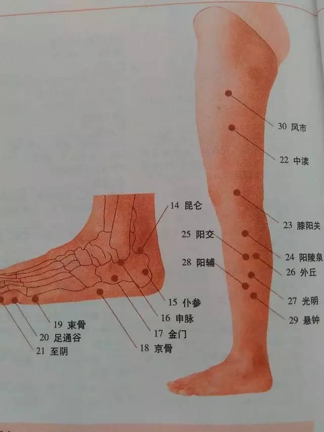 全身穴位图解，一定要收藏!