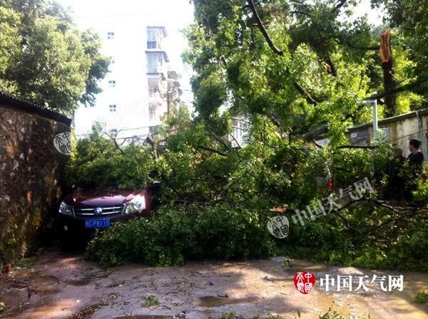 广西多地出现强对流天气 给公众生活带来不利