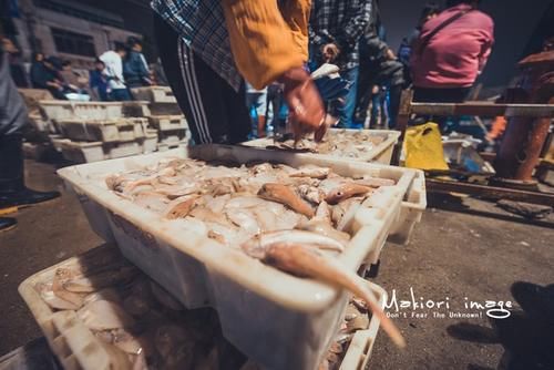 国家为什么不管北海