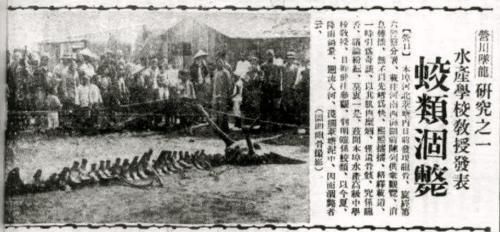 t01e9145c9631fc028f.jpg