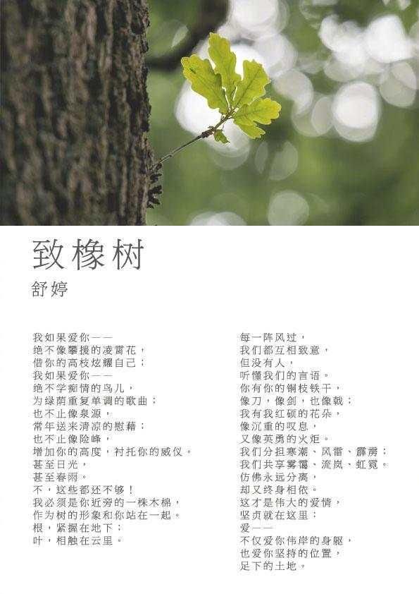 九首最美的现代爱情诗歌:诗意花开满树,一生爱