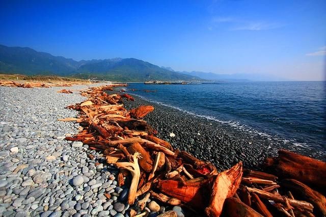 走花东，看看湾湾嘴里的“槟榔西施”花容几何