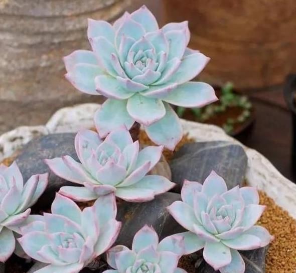 人员管理的五大要素