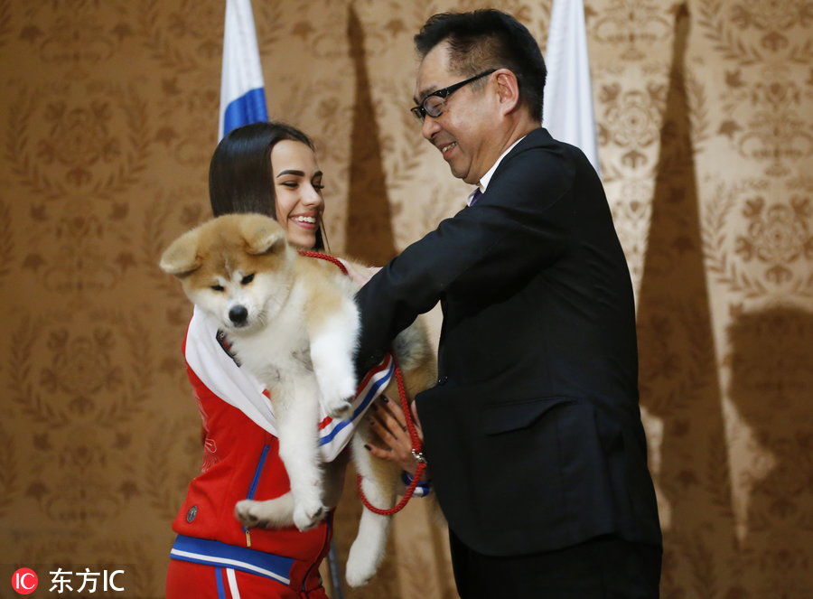 俄罗斯花滑名将扎吉托娃获赠秋田犬 安倍晋三出席赠送仪式