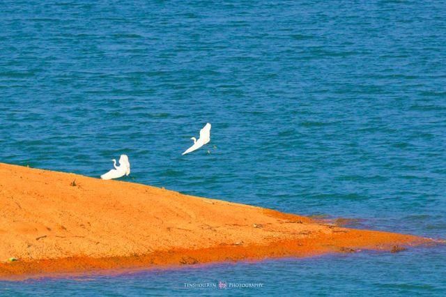 浙江隐藏的7条如诗如画的绝美“天路”你去过几条？