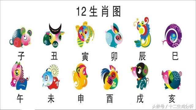 你明白何为生肖相冲?知道他有多重要吗?