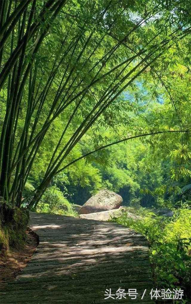 贵州夏季均温只有20，山水仙境，隔着屏幕都能感受到清凉！