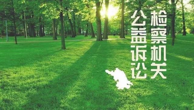 聚焦检察机关获尚方宝剑 提起公益诉讼不再尴