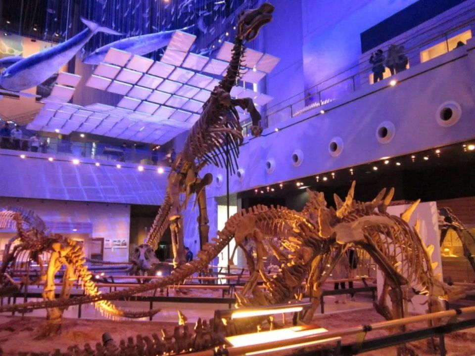 广州最适合一日游的免费景点，收好，够你任性玩一整年!