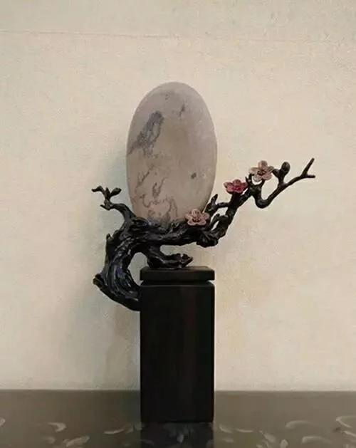 石头多了，什么鸟都有了！
