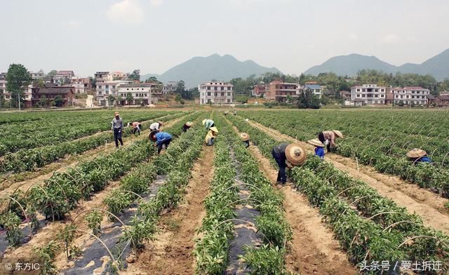 农村土地能否继承，老人去世后宅基地、自留地、自留山不归子女？