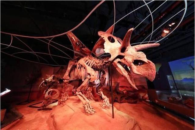 打卡广州最新地标 正佳自然科学博物馆