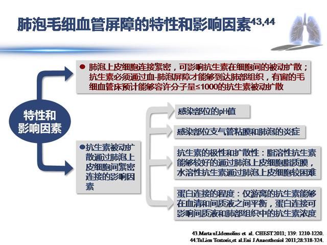 重症流感到重症肺炎的治疗