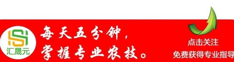 城管工资多少钱一个月