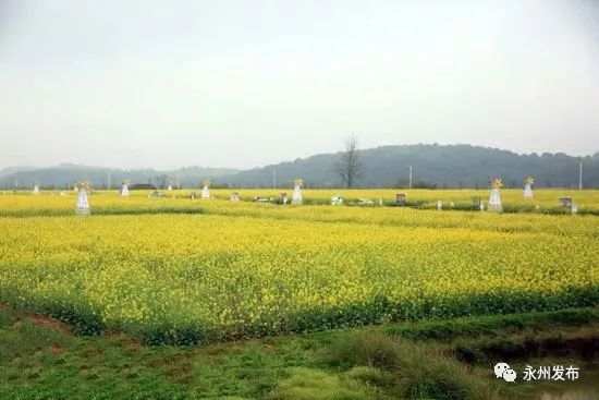 养眼、新鲜！高清组图带您亲临永州旅游两大盛事~