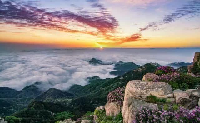 2019年共多少起地震