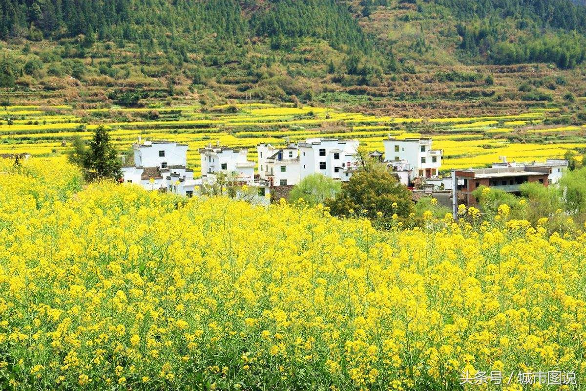 中部六省一季度经济实力排名，山西排在第六河南超越湖北成为第一