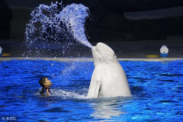 喜大普奔!海南获批自贸区后终于要建世界级海