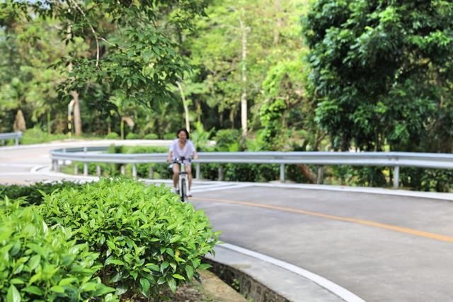 去海南岛中部雨林过五一，玩法多样，度假不单调