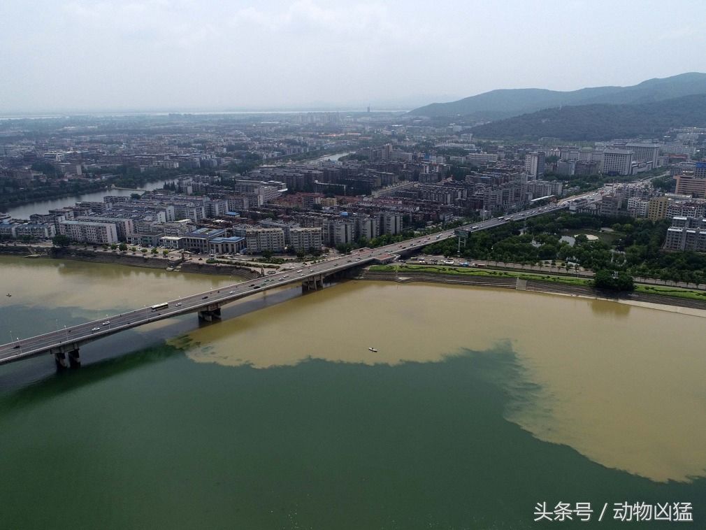 暴雨过后中国汉江现奇观