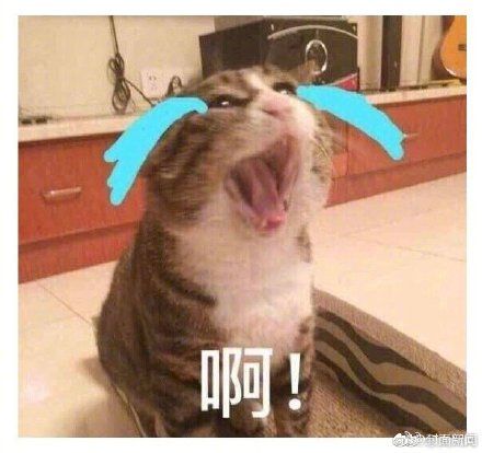 上海妈妈辅导女儿作业