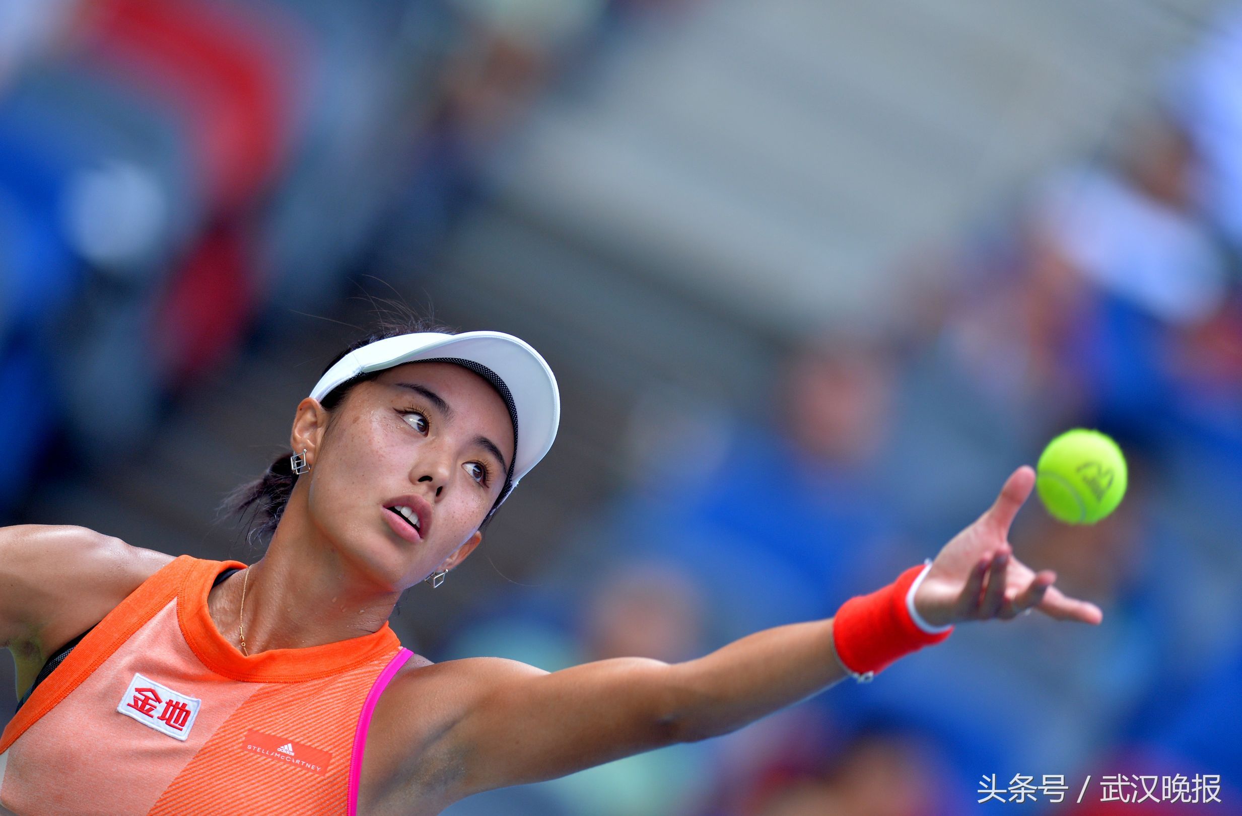 48分钟,中国金花王蔷无缘2017年武汉网球公开