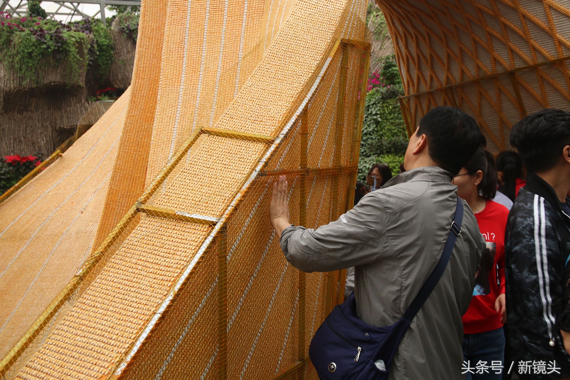 你能看出来吗?这些全是用蔬菜瓜果做成的!