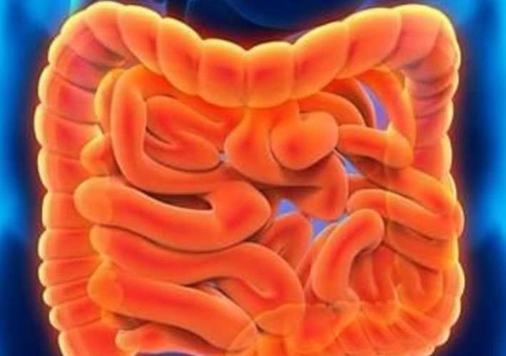 肠道生病,蠕动异常,这4处会抗议,早知道早好