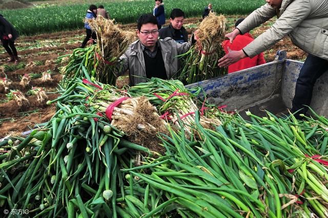 盘点中国农民一直以来面临的7个问题,2018年,改变才能有未来!