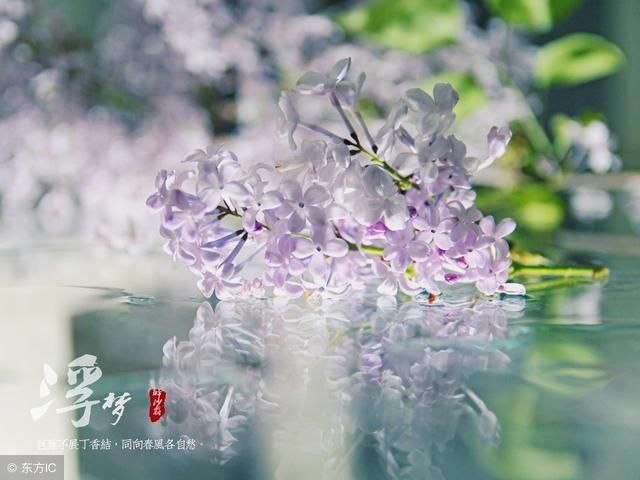 兽第一股96惨跌至4元,年报暴增5750%,18年有