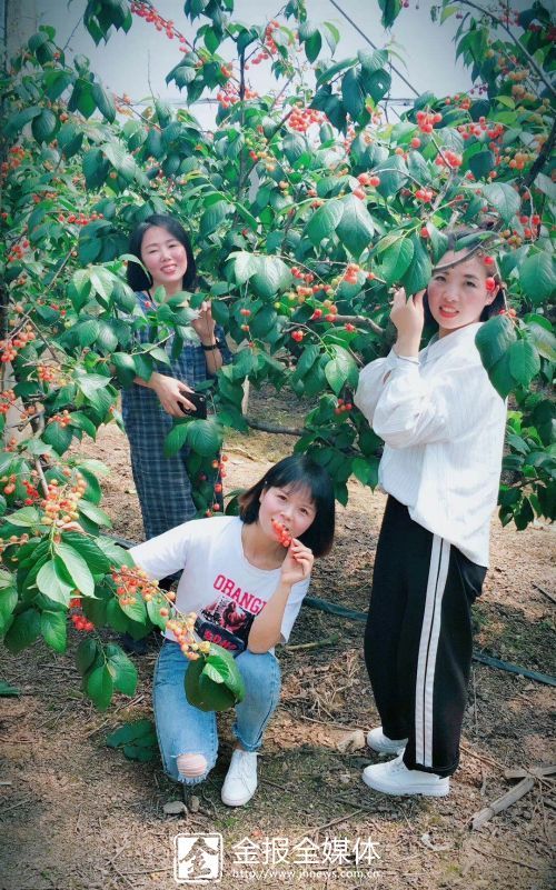 “五一”小长假 带你遇见水果味的初夏