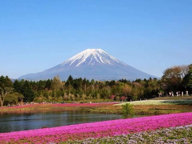 国人为什么常去日本旅游，看完心里有些许伤感