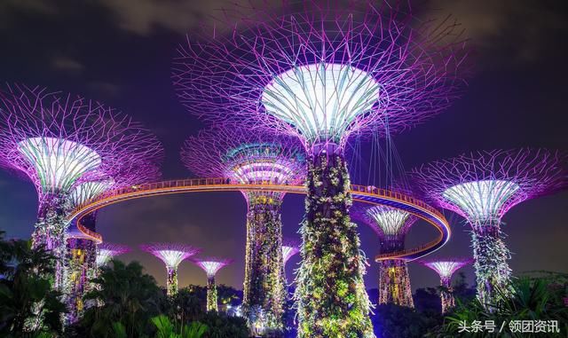 新加坡央行发布ICO新准则