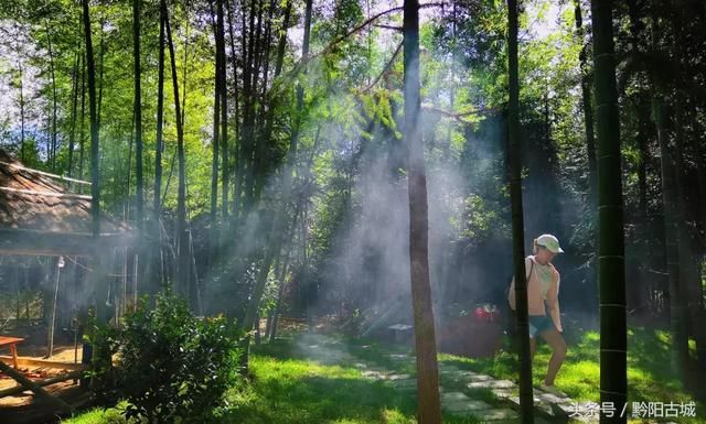 湖南西部有一座会“变红”的山，因一种让人“吃饱饭”的花而出名