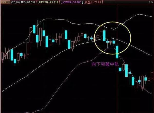 华尔街顶尖交易员的再三告诫：坚持看BOLL技术指标，赚翻天