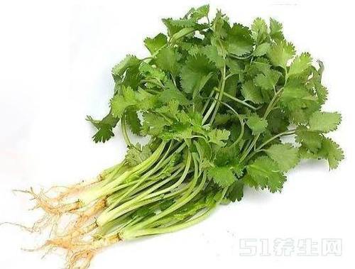t01ecd274543d024e1e.jpg