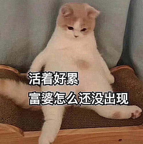 跟高冷表情没话说?万图片别男生,错过:暴女生包表情摆龙门阵图片