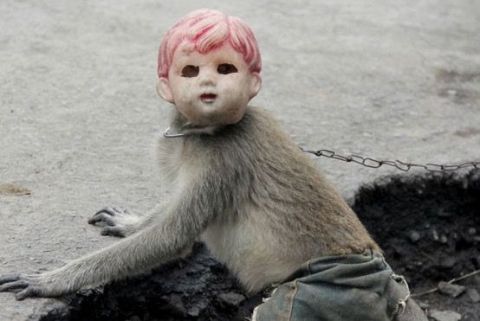 男子把猴子当娃娃耍,戴面具街头表演,背后的真