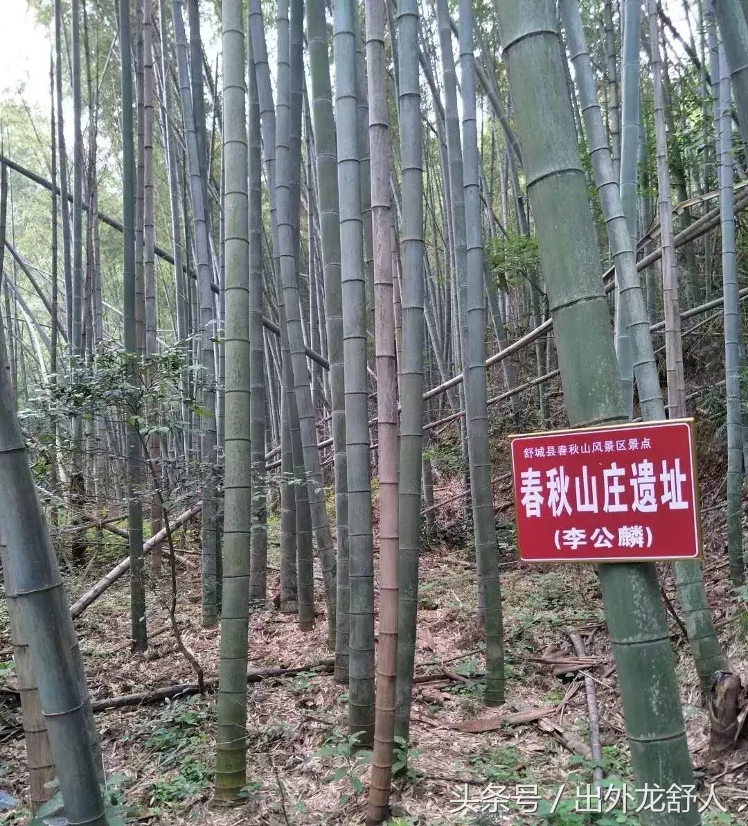 安徽舒城:影像志|四大名山之首春秋山 秦代儒生护典籍得名?